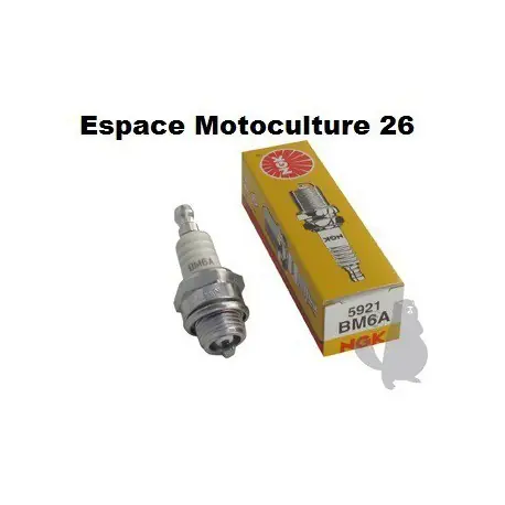 Bougie d‘allumage NGK BM6A Offre Limitée