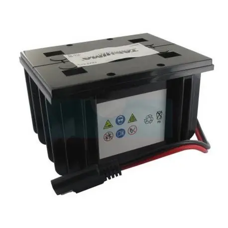 Batterie TASHIMA 12V – 2,5Ah scellée et sans entretien pour moteur BRIGGS & STRATTON Populaire