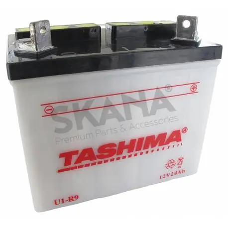 Produit De Marque Batterie à plomb TASHIMA pour tondeuse autoportée 12V – 24A. L 195, l 130, H 185mm, + à droite