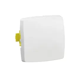 Dernière Chance Interrupteur va-et-vient ou bouton poussoir saillie composable - LEGRAND - 086101L