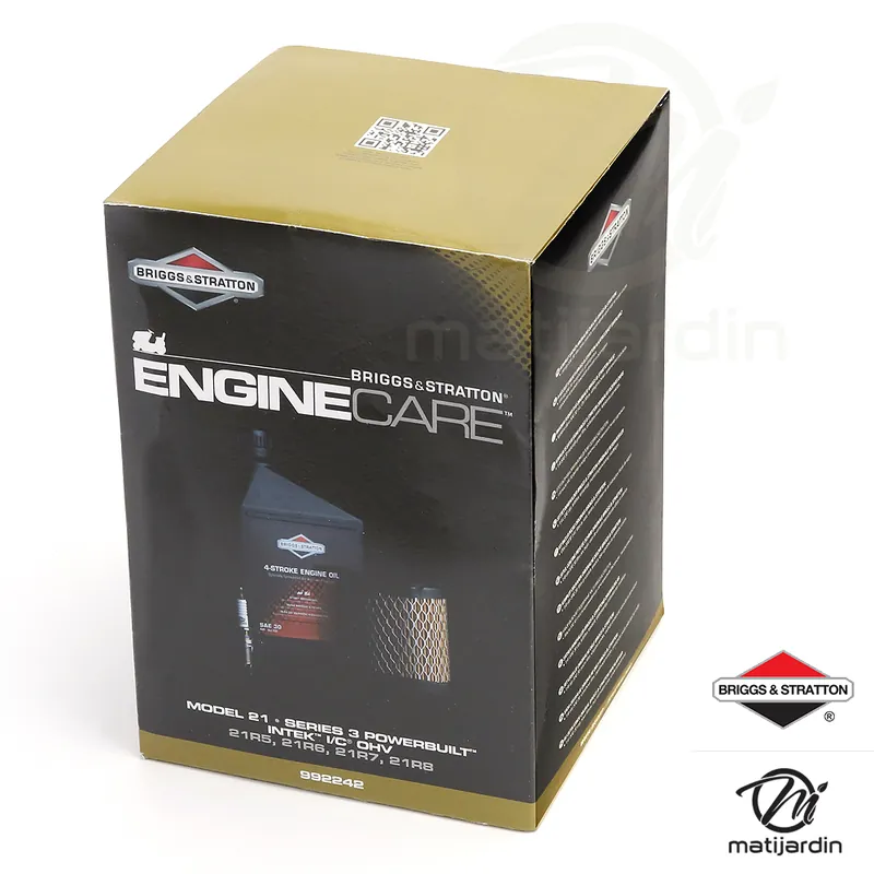 Kit entretien origine pour moteur Briggs & Stratton modèles 21, 21R5, 21R6, 21R7, 21R8, et séries 3 powerbuilt intek I/C OHV Retour Gratuit
