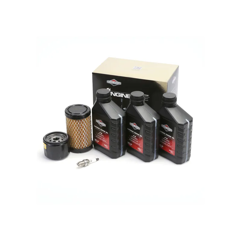 Kit entretien origine pour moteur Briggs & Stratton modèles 31, 31R7, 31R8, 31R9 et séries 4 intek I/C OHV Haute Qualité