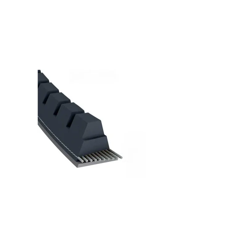 Courroie tondeuse XPZ900 trapézoïdale crantée 9,7 x 912 mm Dernière Chance