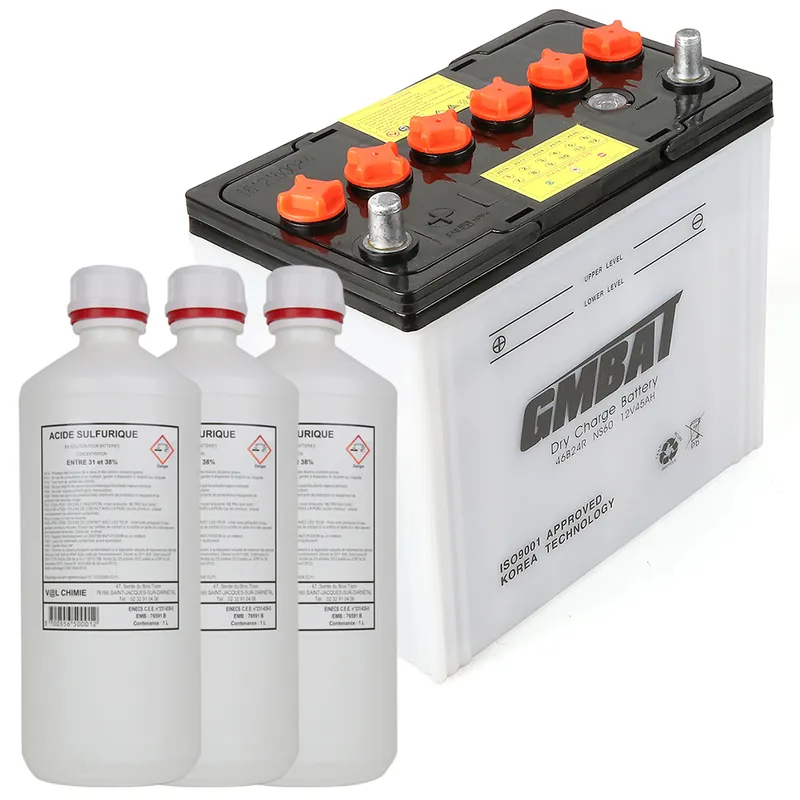 Batterie tondeuse NS60 + acide Solde