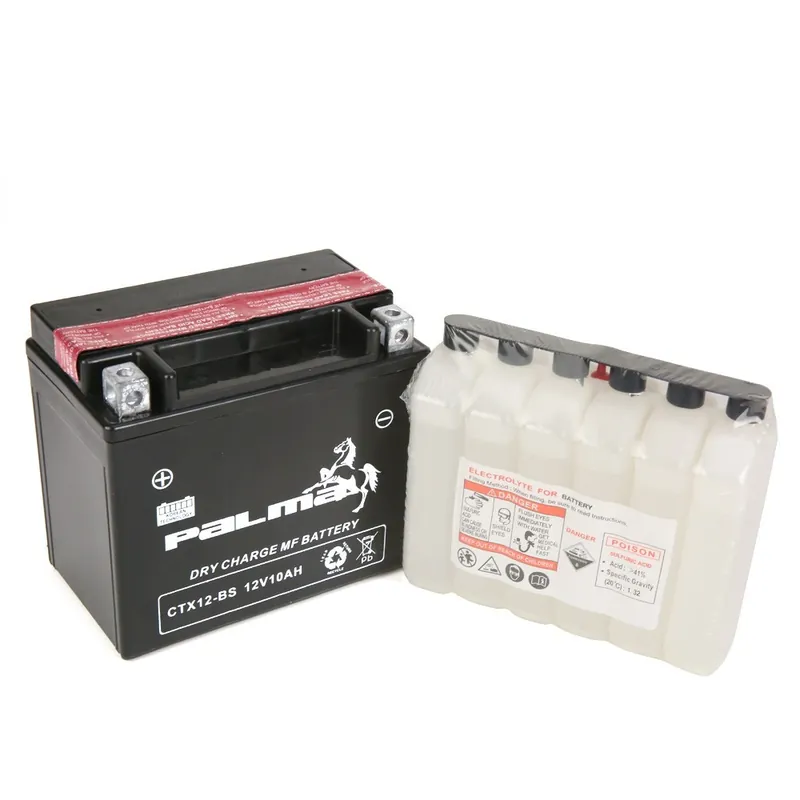 Batterie tondeuse Premium Palma CTX12-BS Produit De Marque