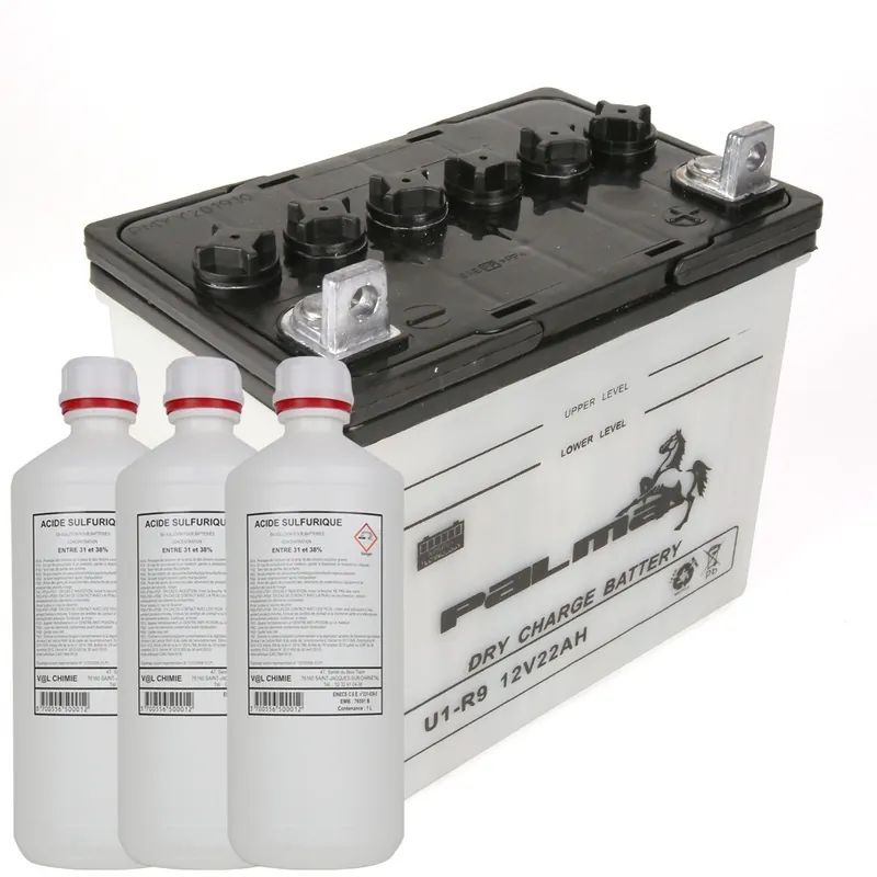 Super Prix Batterie tondeuse Premium Palma U1-R9. Vendue avec acide