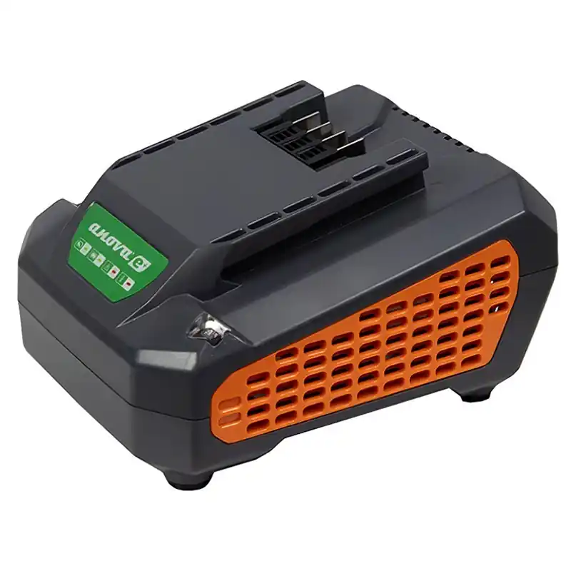 CHARGEUR BATTERIE 58V ANOVA E60CH25 Offre Exclusive