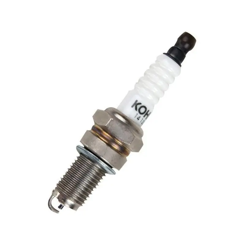 Must-Have Bougie moteur Kohler 1413211