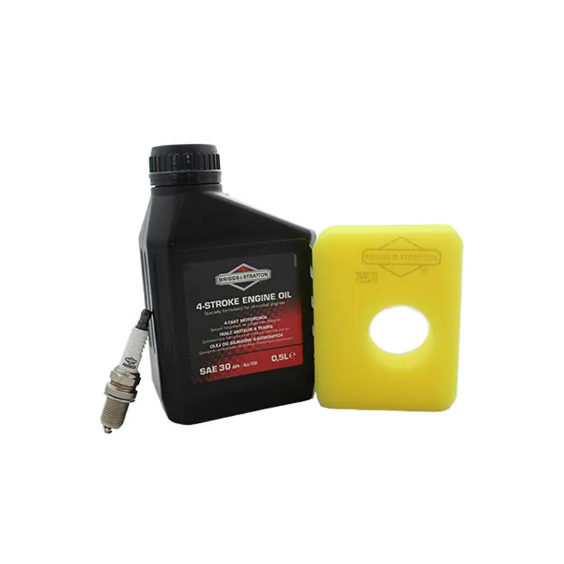 Kit entretien moteur Briggs et Stratton filtre jaune - 992231 Remise