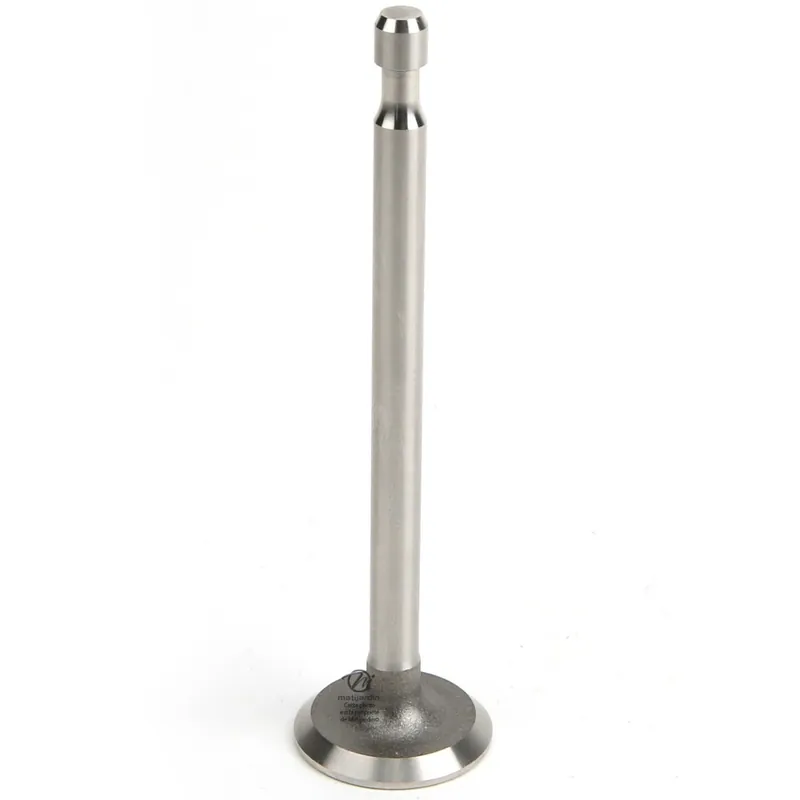Acheter En Ligne Soupape d‘échappement pour moteur Briggs & Stratton N° 211 119