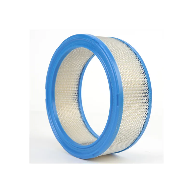 Seulement Aujourd&rsquo;hui Filtre à air pour moteur Kohler 4708303