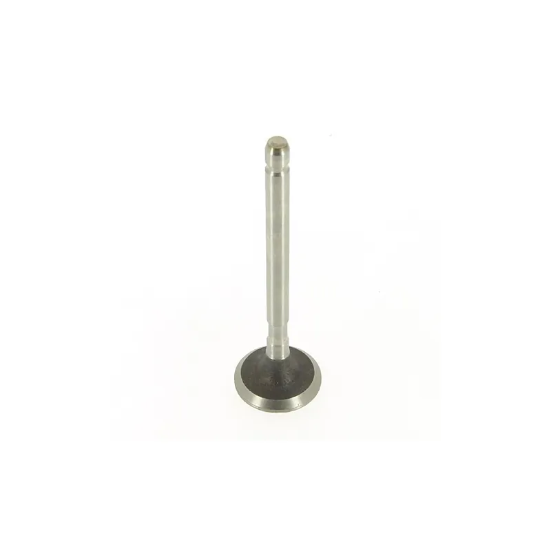 Soupape Adm. pour moteur Briggs et Stratton 390419 Bon Plan