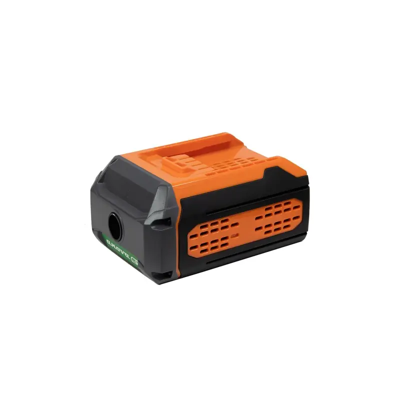 ADAPTATEUR BATTERIE 60V ANOVA Remise