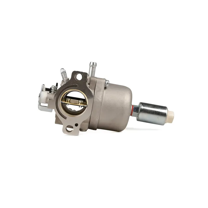 Affaire À Saisir Carburateur pour moteurs OHV AVS Briggs & Stratton