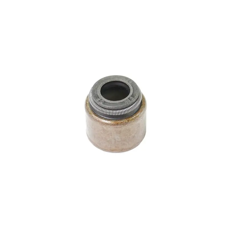 Acheter En Ligne Joint queue soupape moteur autoportée Briggs et Stratton