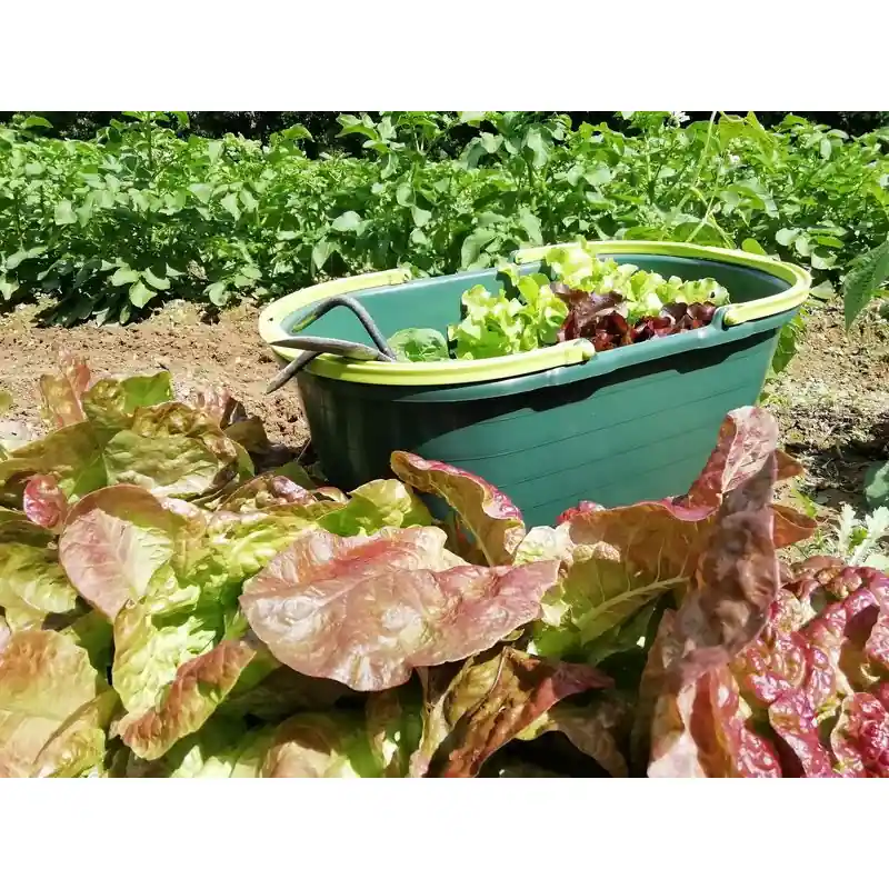 Acheter Direct /PANIER OVALE 22L-32X51CM-H.26/44CM