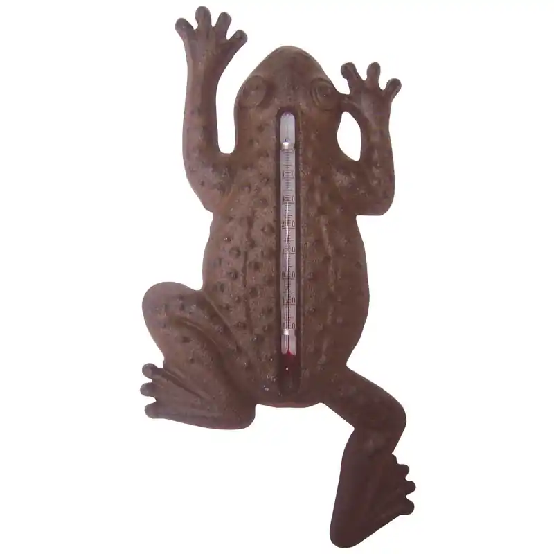 Thermomètre en Fonte Grenouille - Précision et Élégance pour vos Mesures de Température Dernier Modèle