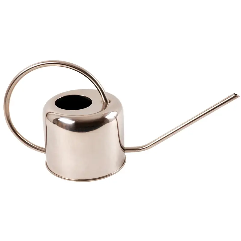 Arrosoir Inox 1L pour Appartement - Design Pratique et Élégant Achetez Aujourd'hui
