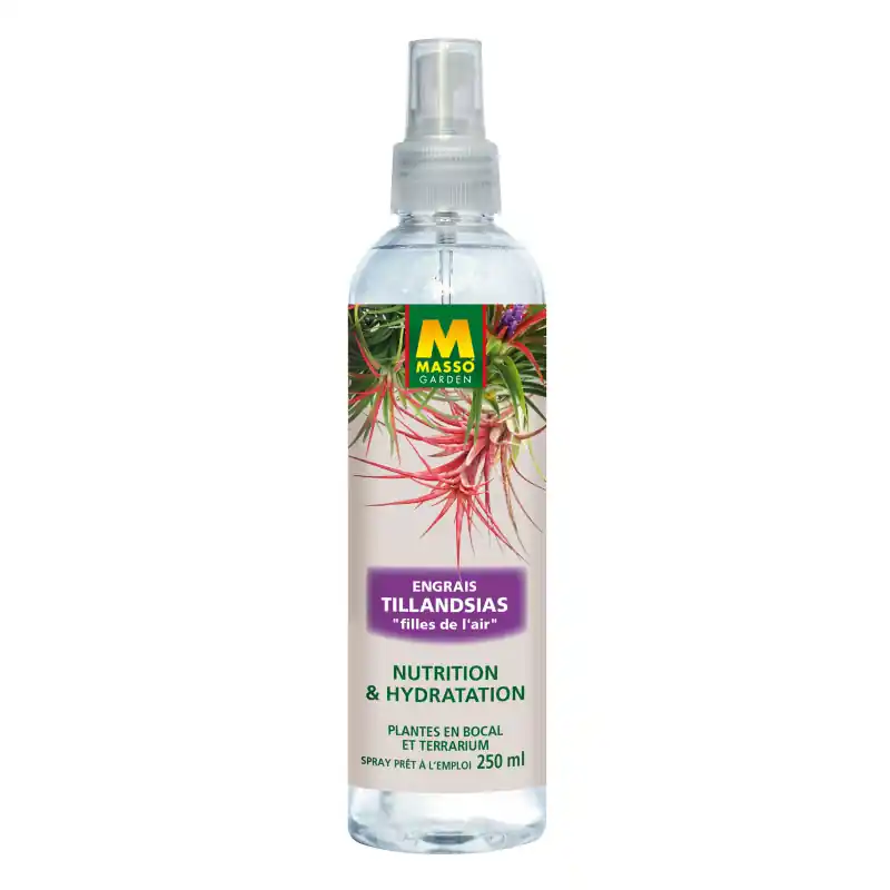 Bon Plan Engrais Foliaire Tillandsias 250 ml – Soins Masso Garden pour Plantes Aériennes