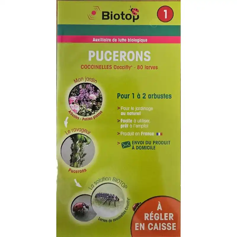 Carnet Coccinelle Fly 80 Larves Biotop Solde