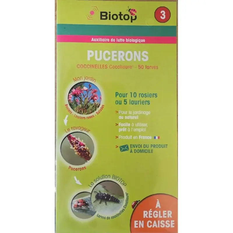 Carnet Coccinelle 50 Larves Biotop Prix Cassé