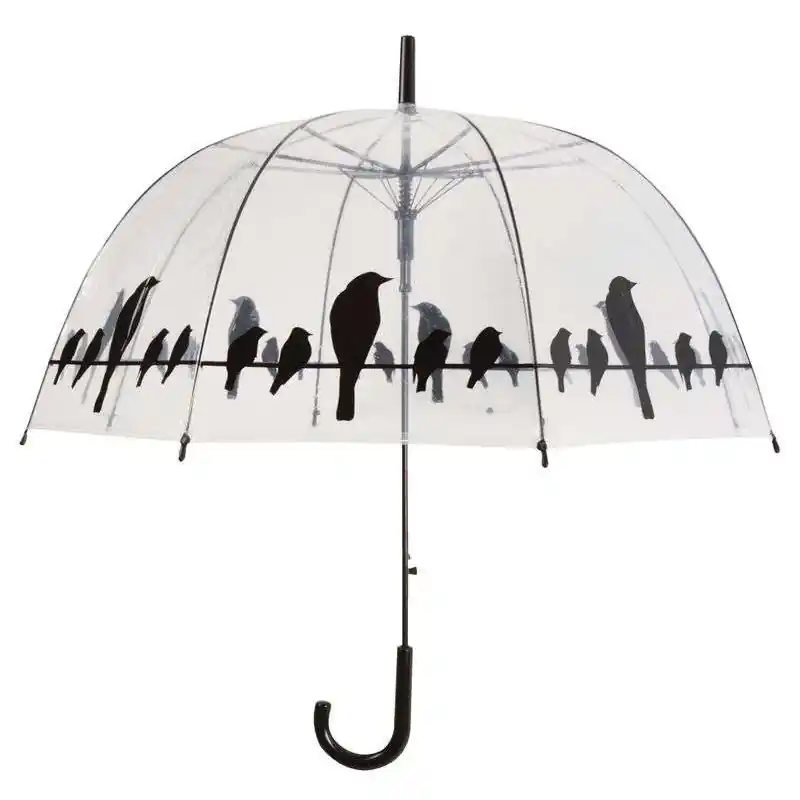 Parapluie Transparent Oiseaux - Élégance et Protection sous la Pluie Petit Prix