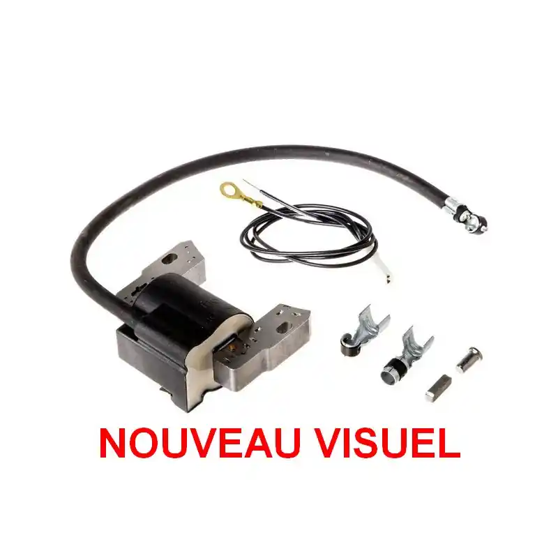 Bobine allumage moteur Briggs et Stratton – Série 500, 793281, 591420 Quantité Limitée