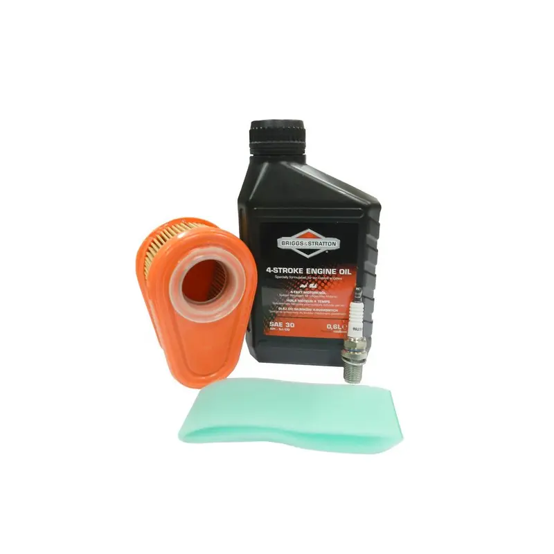 Livraison Express Kit entretien moteur Briggs et Stratton Series 700, 750, DOV - 992234