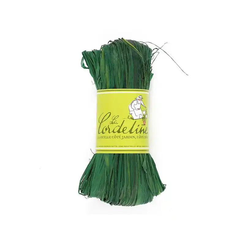 Promotion Raphia vert 50g floche pour créations artisanales et jardin