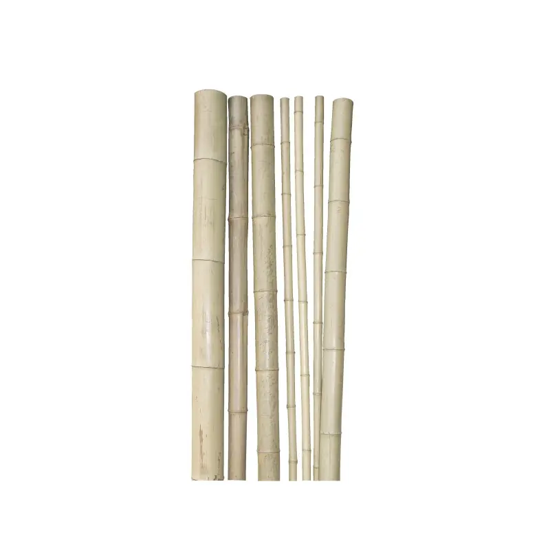Vente Flash Tuteur en bambou 200 cm d9 cm – support naturel pour plantes et jardins