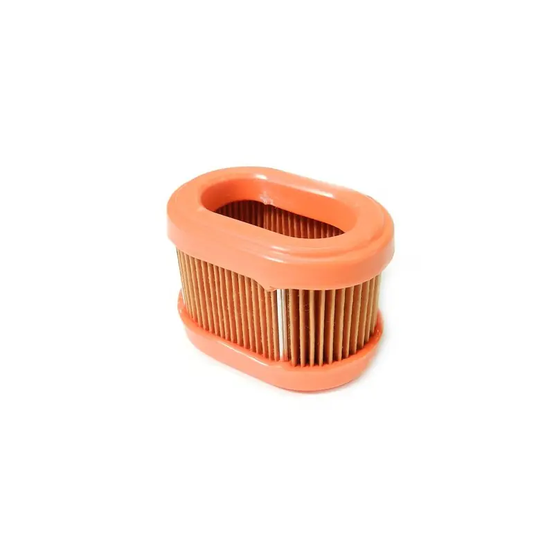 Filtre à air moteur Briggs et Stratton 3.5cv Origine 790166 Offre Exclusive