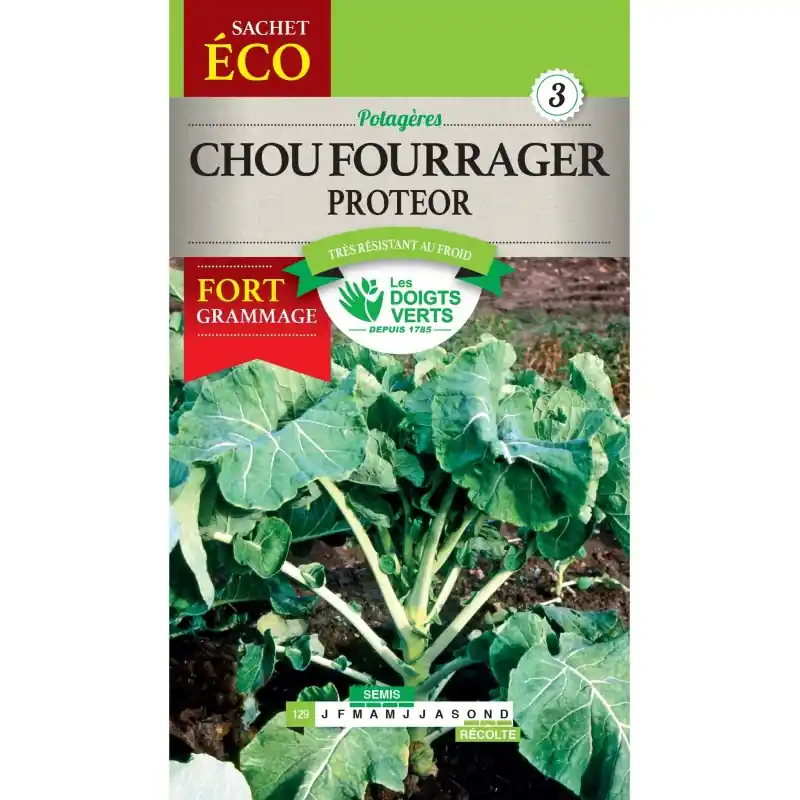 CHOU FOURRAGER PROTEOR – SACHET ÉCO – CATÉGORIE 3 – LES DOIGTS VERTS Dernier Modèle
