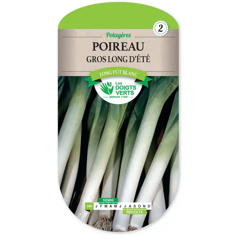 POIREAU GROS LONG D’ÉTÉ – LES DOIGTS VERTS Commande En Gros