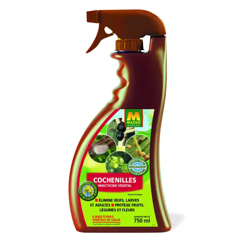 Achat Immédiat Spray Anti-Cochenilles 750 ml – Protection Efficace pour vos Plantes – Pae Masso Garden
