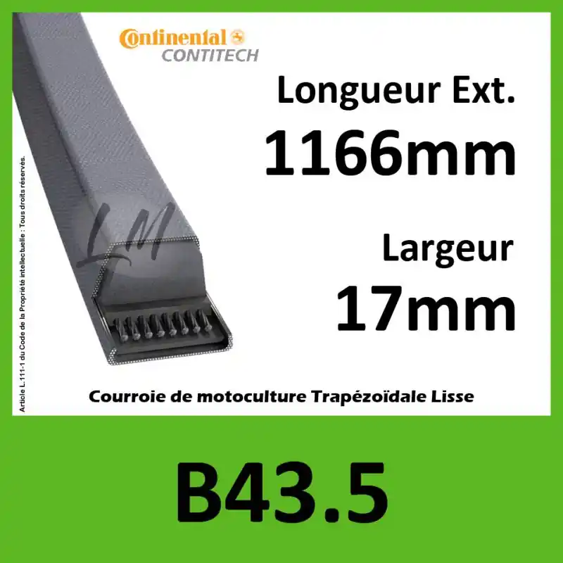 Remise Courroie B43.5 Continental