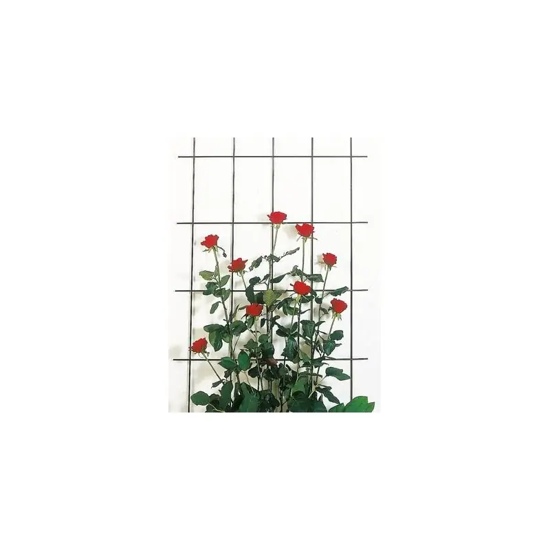 /Treillis métal vert 150x75cm - idéal pour jardins et clôtures - résistant et durable Must-Have
