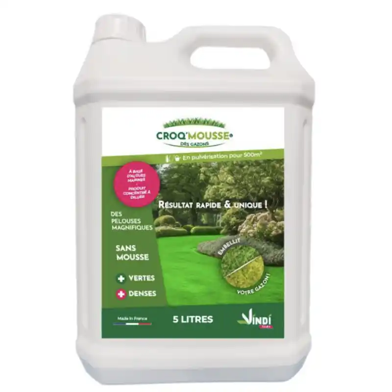 Acheter En Ligne Croq‘mousse pour la pelousse 5l – Anti mousse efficace pour le gazon