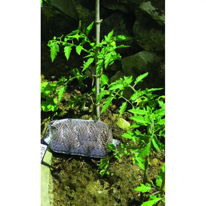 Expédition Rapide Lien Souple Extensible 40m Pour Décoration Jardin Et Maison