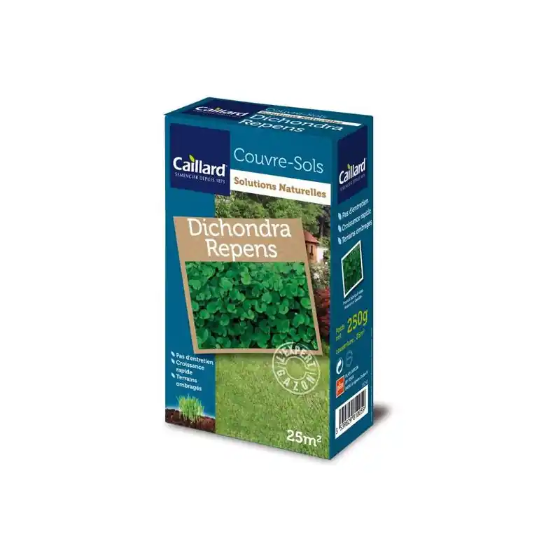 Dichondra Caillard - Gazon Récupérateur 0,25kg pour Jardins Verdoyants Vente Flash