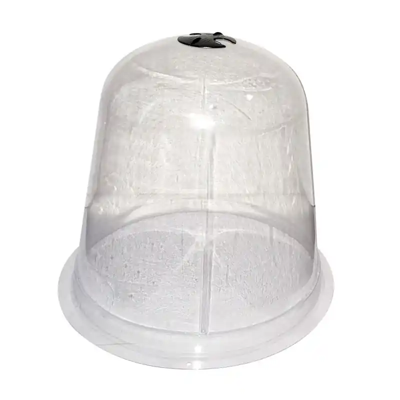 Authentique 3 Cloches Salade Transparente 33,5Xh30Cm