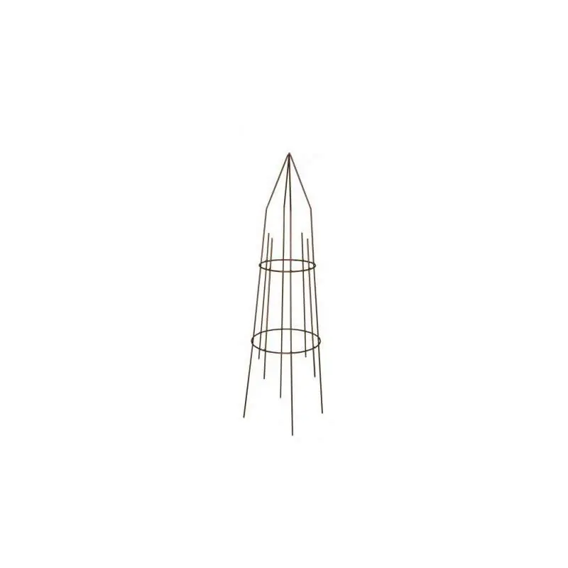 Vente Directe Tuteur Grimpant Rond 97cm en Fer - Support de Plantes Idéal pour Votre Jardin