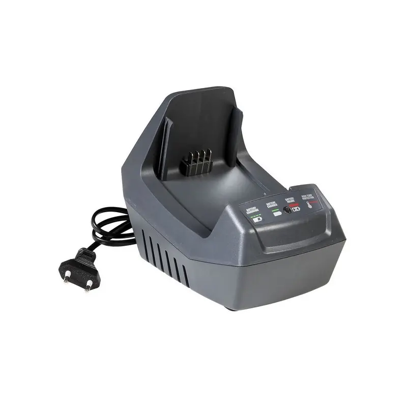 Chargeur rapide batterie Oleo Mac CGR + Pas Cher