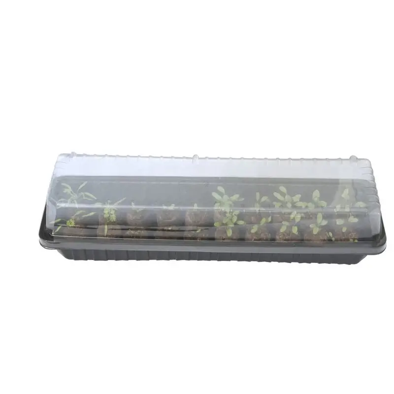 Mini Serre L,57,5Xi,17,5Xh,13,5Cm Solde