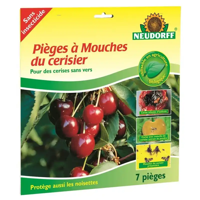 Piège à mouches cerisier – solution écologique Haute Qualité