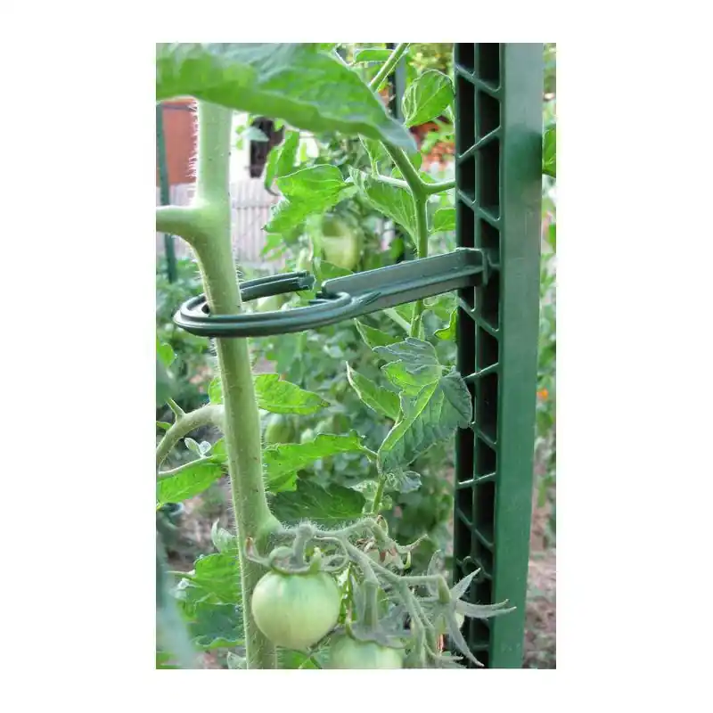 ECO TUTEUR 180CM VERT – Tuteur Écologique pour Plantes etpotager (tomates) Offre Exclusive