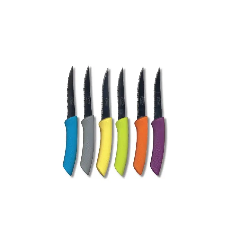 SET DE 6 COUTEAUX A STEAK - INOX - COLORIS ASSORTIS - JEAN DUBOST Réduction
