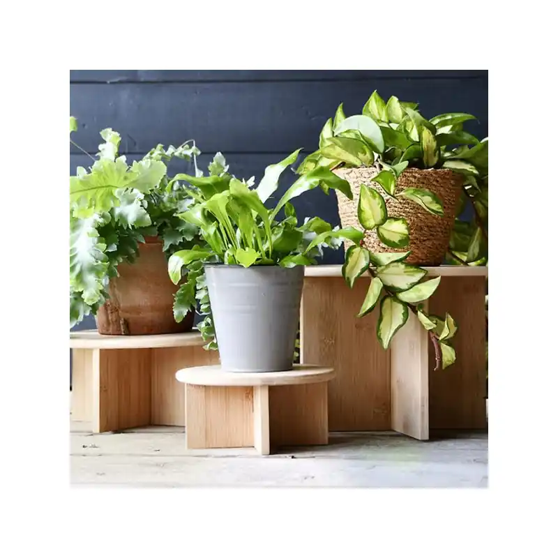 Porte-Plantes en Bambou Écologique - Support Design pour Intérieur et Jardin Paiement Sécurisé