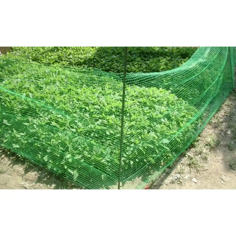 FILET DE PROTECTION CONTRE LES ANIMAUX 1X10M – MACXI Prix Promo