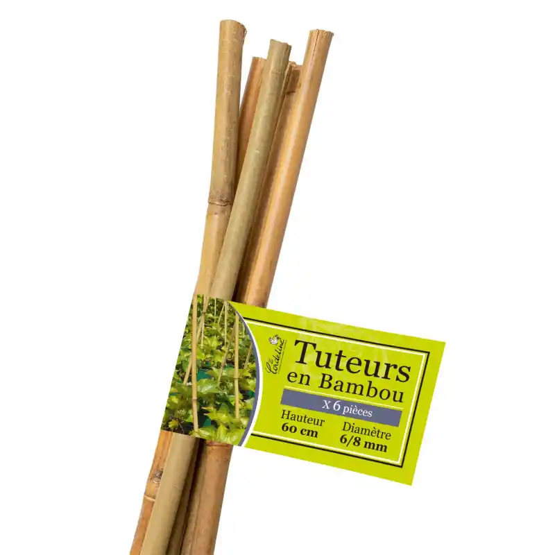 Super Prix Tuteurs en bambou 60cm lot de 6 pour plantes et jardins