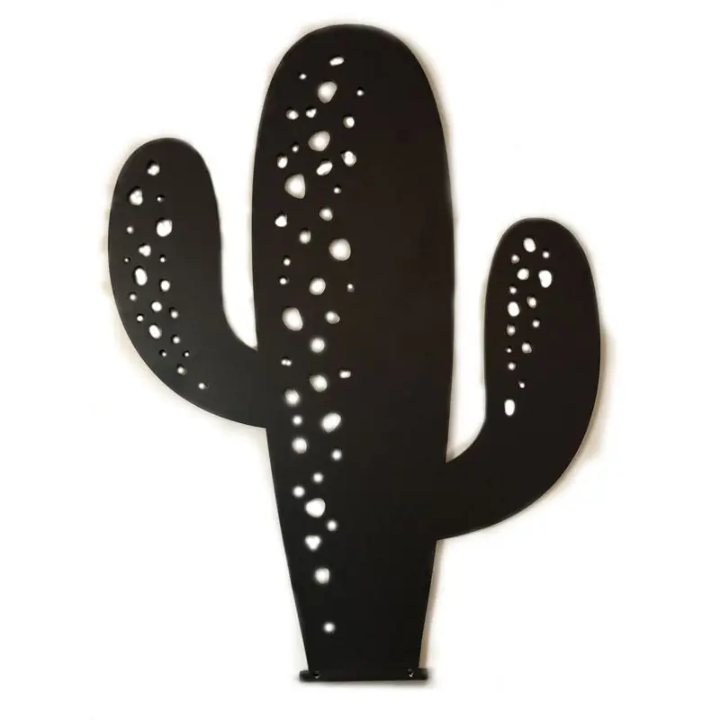 Cactus Colorado grand noir Expédition Rapide